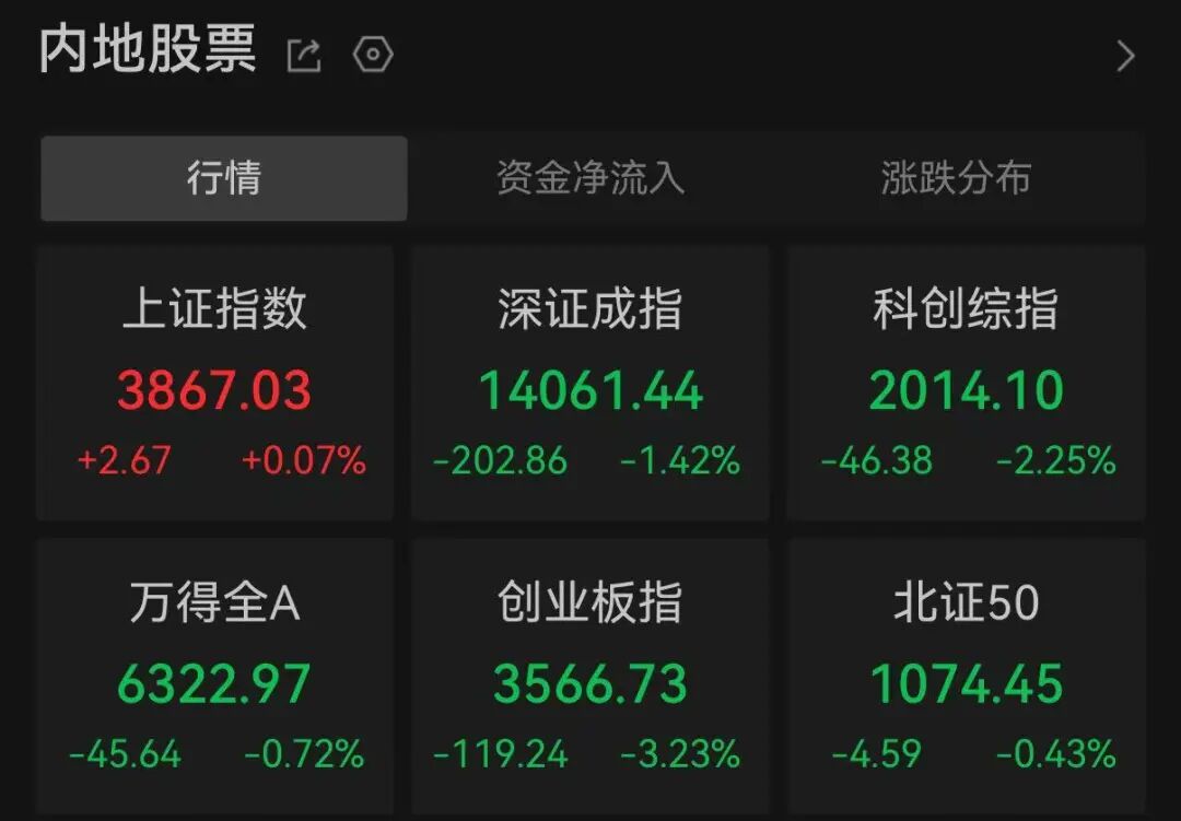 “是金子总会发光！”600亿龙头，逆势涨停